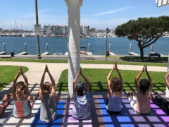 Free yoga classes are offered year-round on Sundays and Mondays. Contact the park office for details, 424-526-7903.