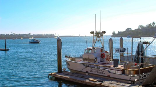 Marine Del Rey Sport-fishing