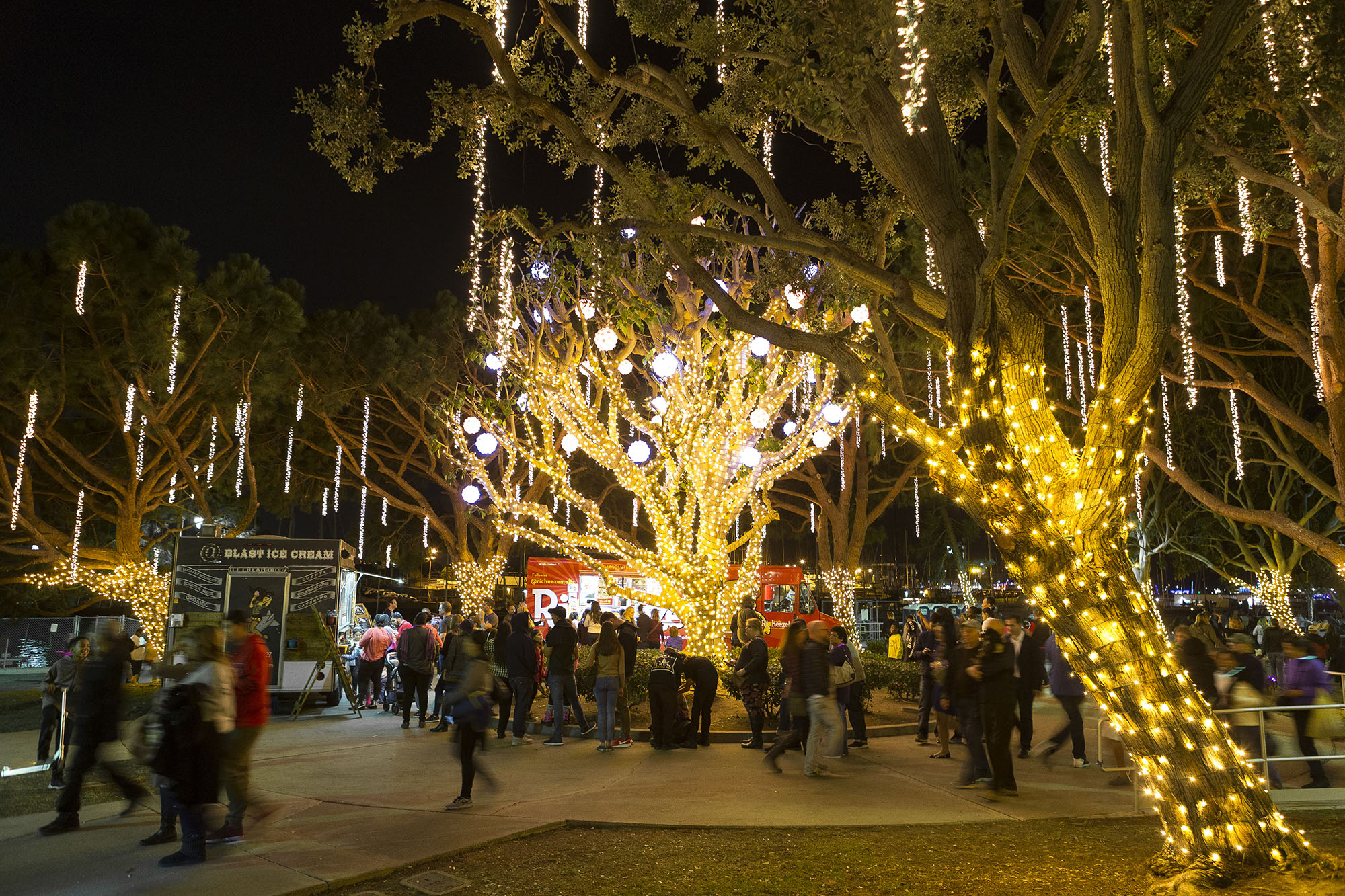 people walking by trees decorated with llights