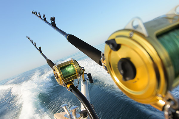 fishing reels and rods