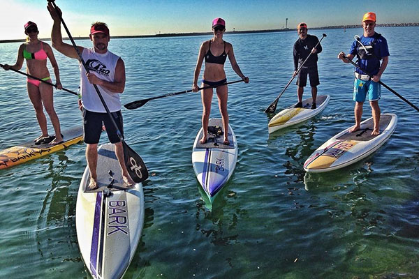 group on stand up paddleboards in water