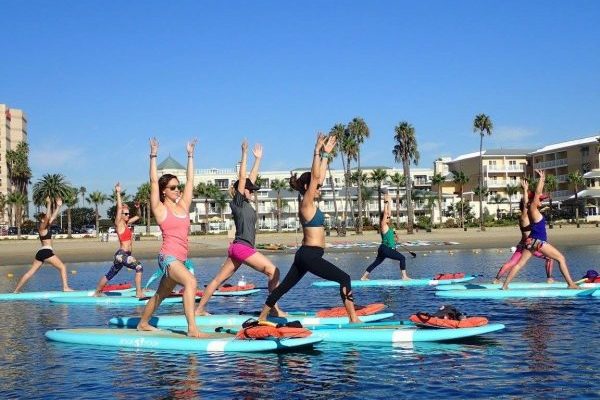 group of people in yoga stance on stand up paddleboards in water