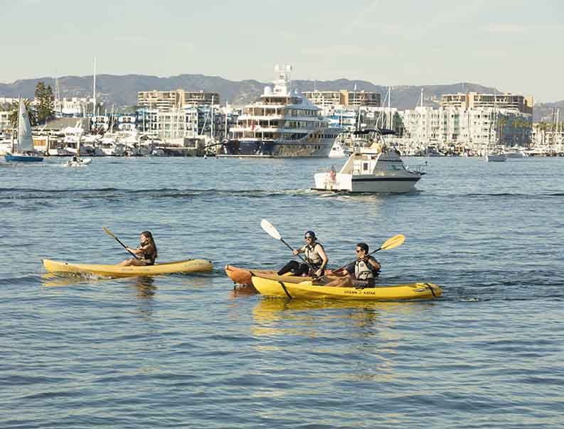 kayakers in habor