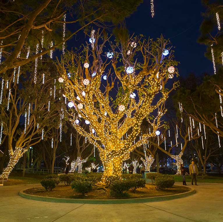 Christmas lights in Burton Chace Park, Marina del Rey