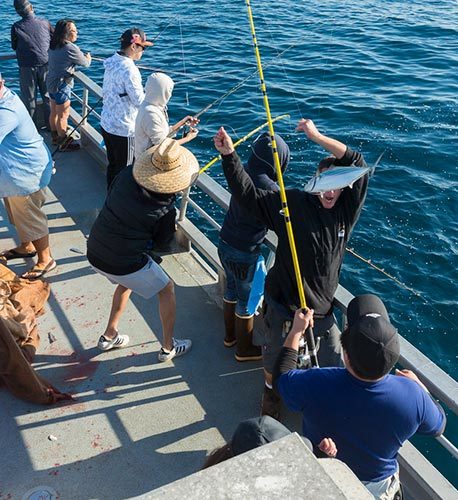 Daily sportfishing trips depart from Marina del Rey
