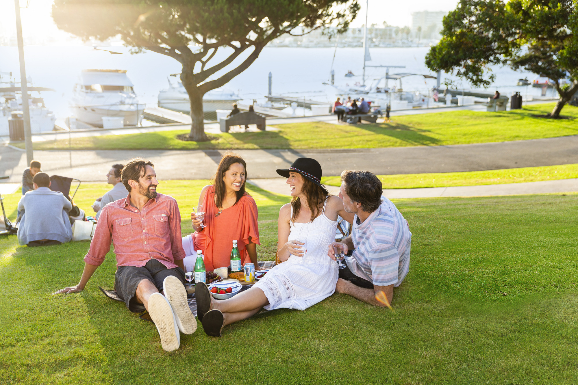 Group of friends enjoying picnic at park overlooking boats and the harbor