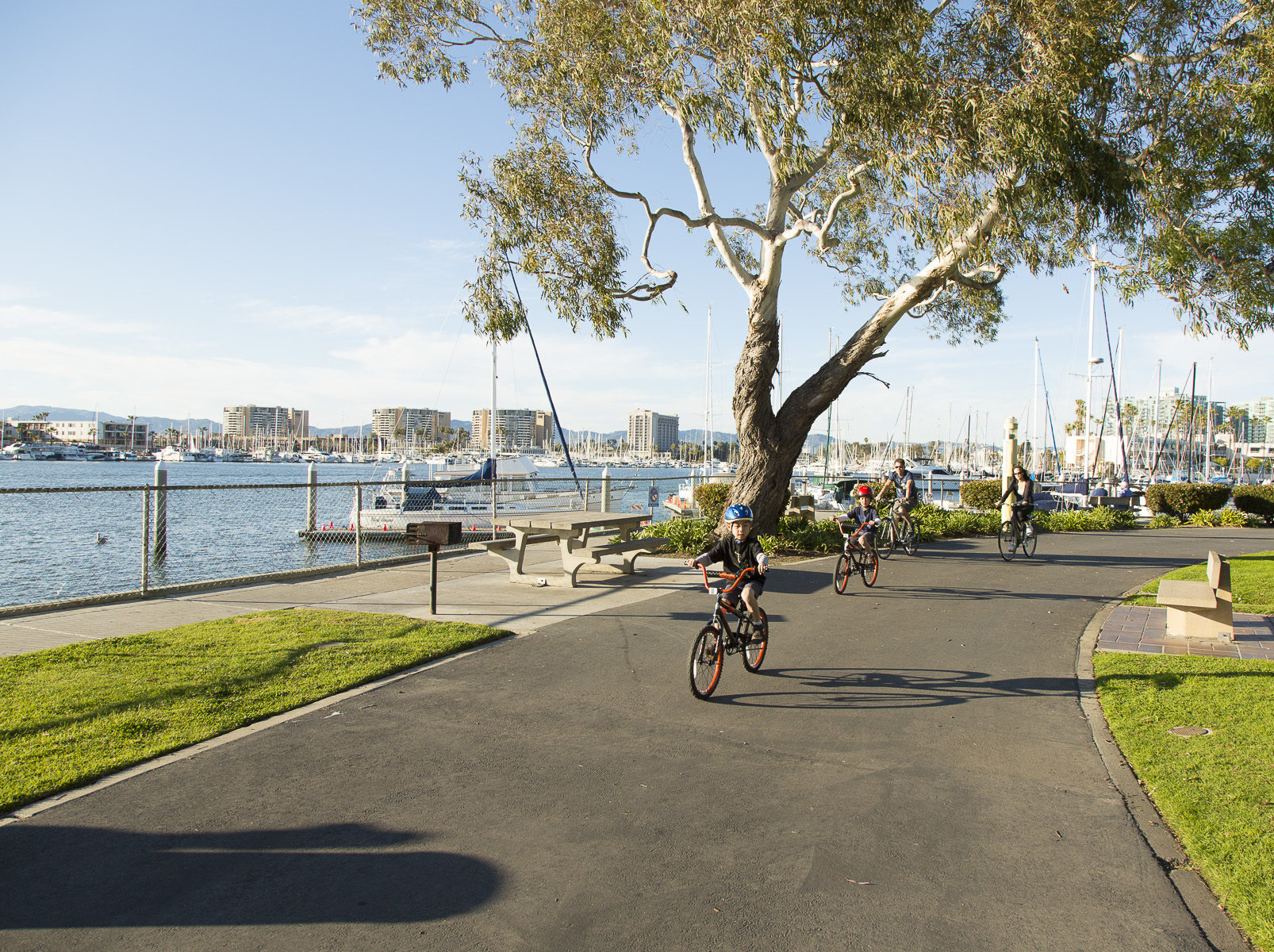 family riding bikes at park near marina