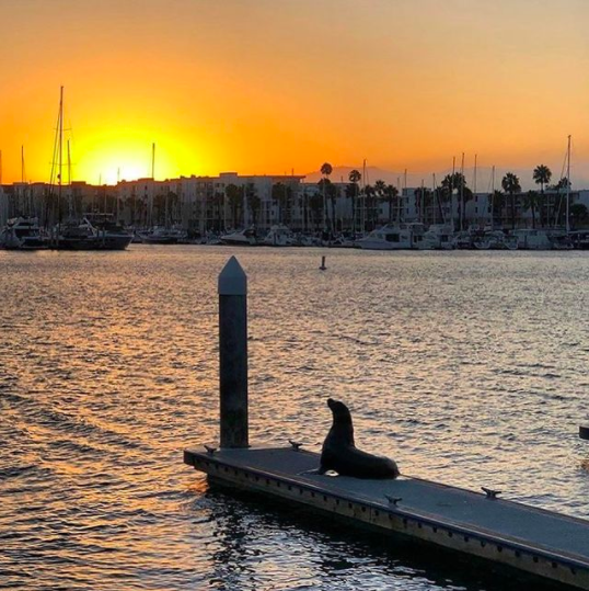 Pier in Sunset