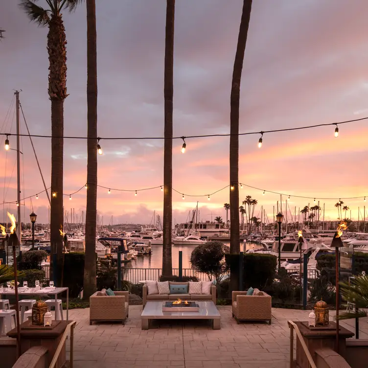 Sunset sky with palm trees and outdoor patio facing the harbor